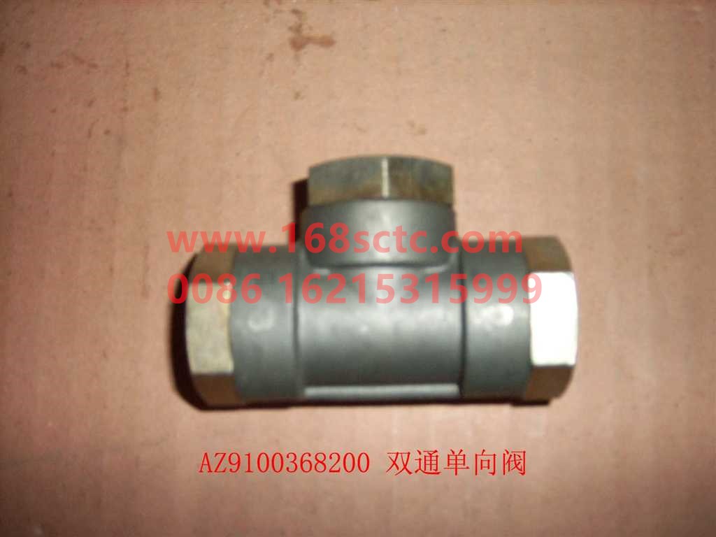 Two-way check valve