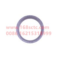 WDFS2000-1003173AE1296