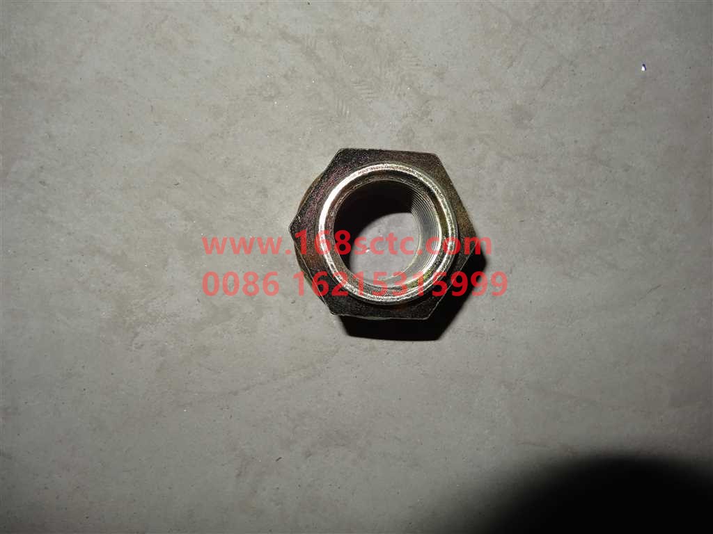 WG9770520760-OTHERS-Hex nut with shoulder self-locking-KuangShanBaWang70