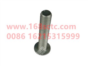 ZQ1811490TF6-OTHERS-Hexagon flange face bearing toothed bolt with female M14x1.5x90-LiuJiaoTouLuoShuan