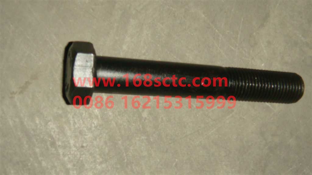 WG9981320014-SINOTRUK HOWO-Hexagon flange face bearing toothed bolts-ZhongQiHouQiaoAC16