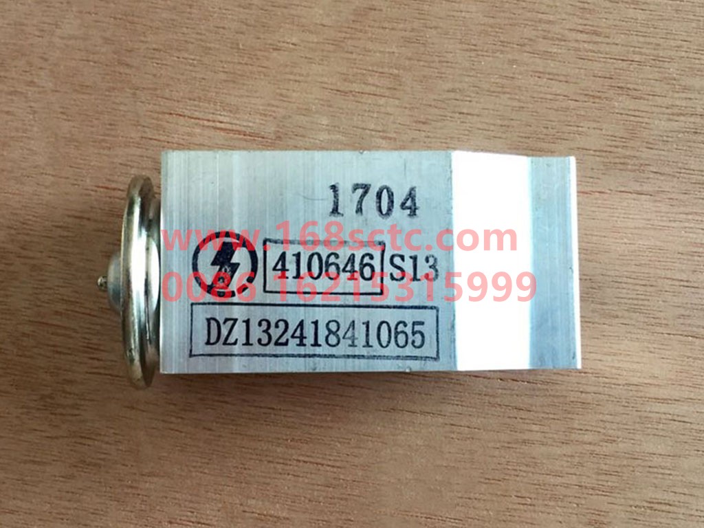 DZ13241841065-SHACMAN-Expansion valve-DeLongF2000 2009Kuan