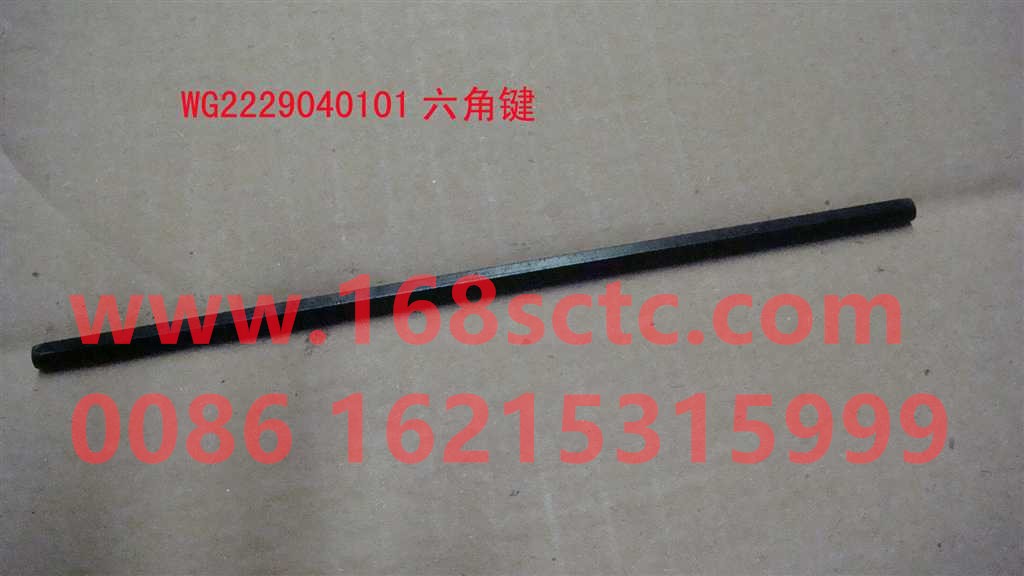 WG2229040101-SINOTRUK HOWO-hex key-ZhongQiBianSuXiangHW18709