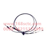 WDF1703060-C66317E1296