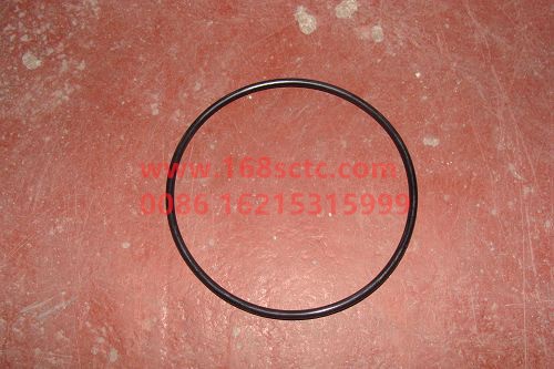 Q734B7300265-FAW-O-ring-XiChaiFaDongJiCA6SL1-26E3
