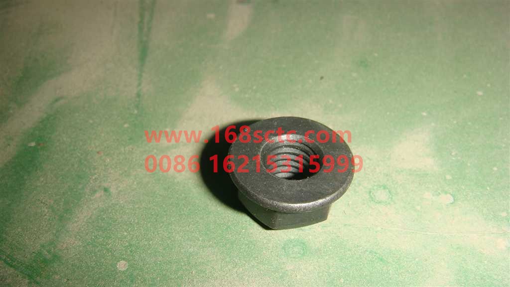 WG9725525112-OTHERS-Hexagon Flange Nut M8x1.25 Grade 10-LiuJiaoTouLuoMu
