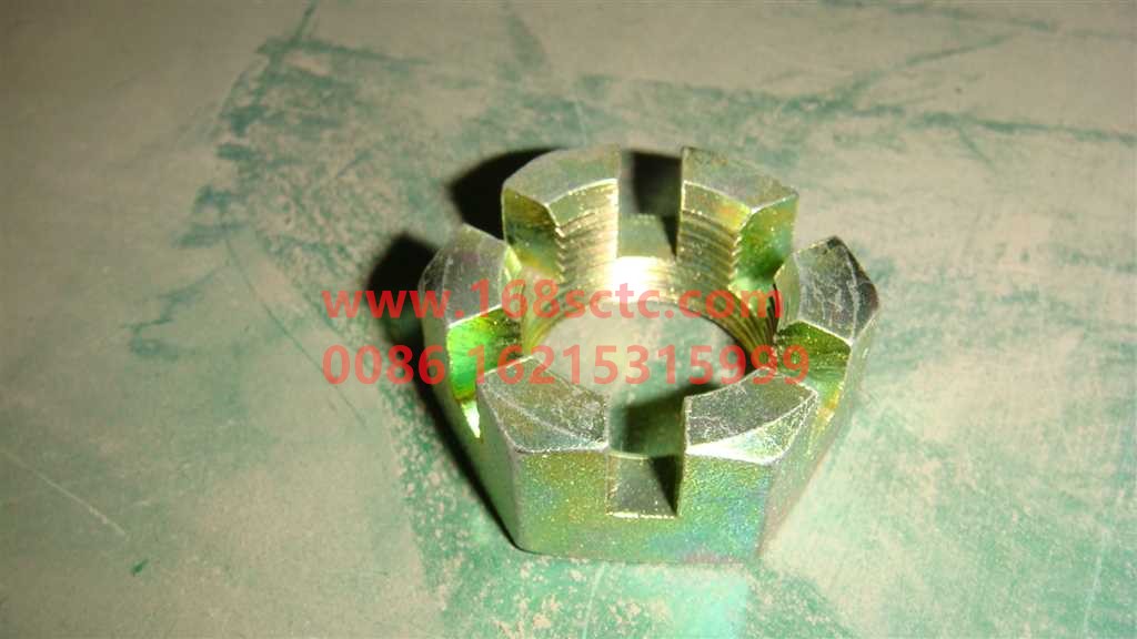 WG9925410105+038-OTHERS-Channel nut 3003M 111-KeManQianQiao