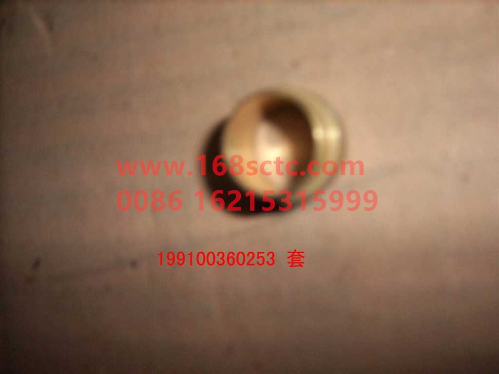 WG99100360253