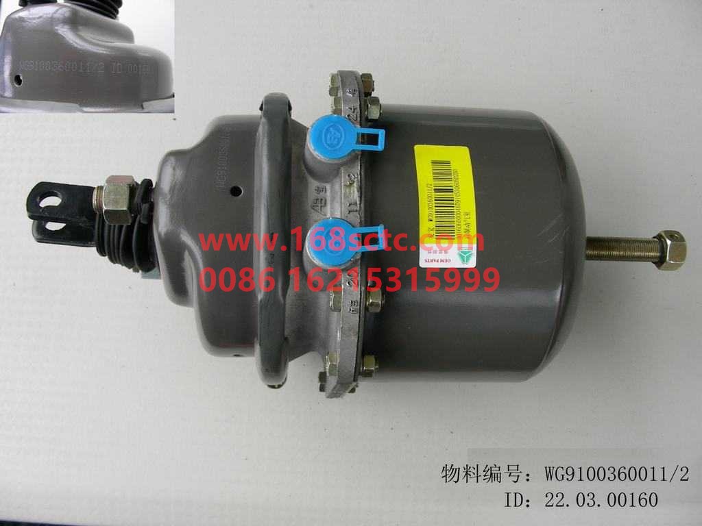 WG9100360011