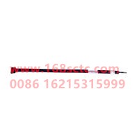 WDF11C-01110-BE1296