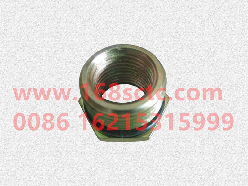 81.98181.6120-SHACMAN-screw plug-DeLongF2000 2014Kuan