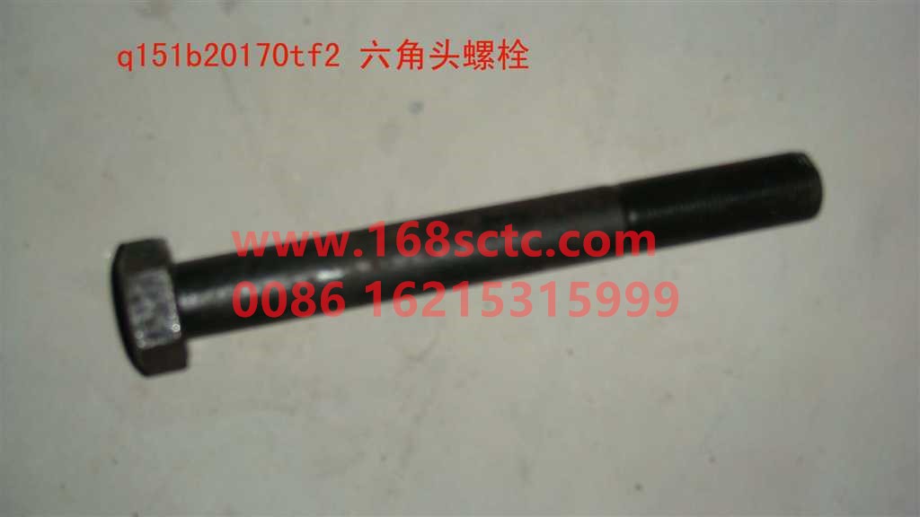Q151B20170TF2-OTHERS-Outer hex bolt M20x1.5x170-LiuJiaoTouLuoShuan