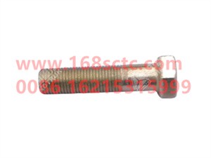 ZQ151B1250-OTHERS-Outer hex bolt M12x1.25x50-LiuJiaoTouLuoShuan
