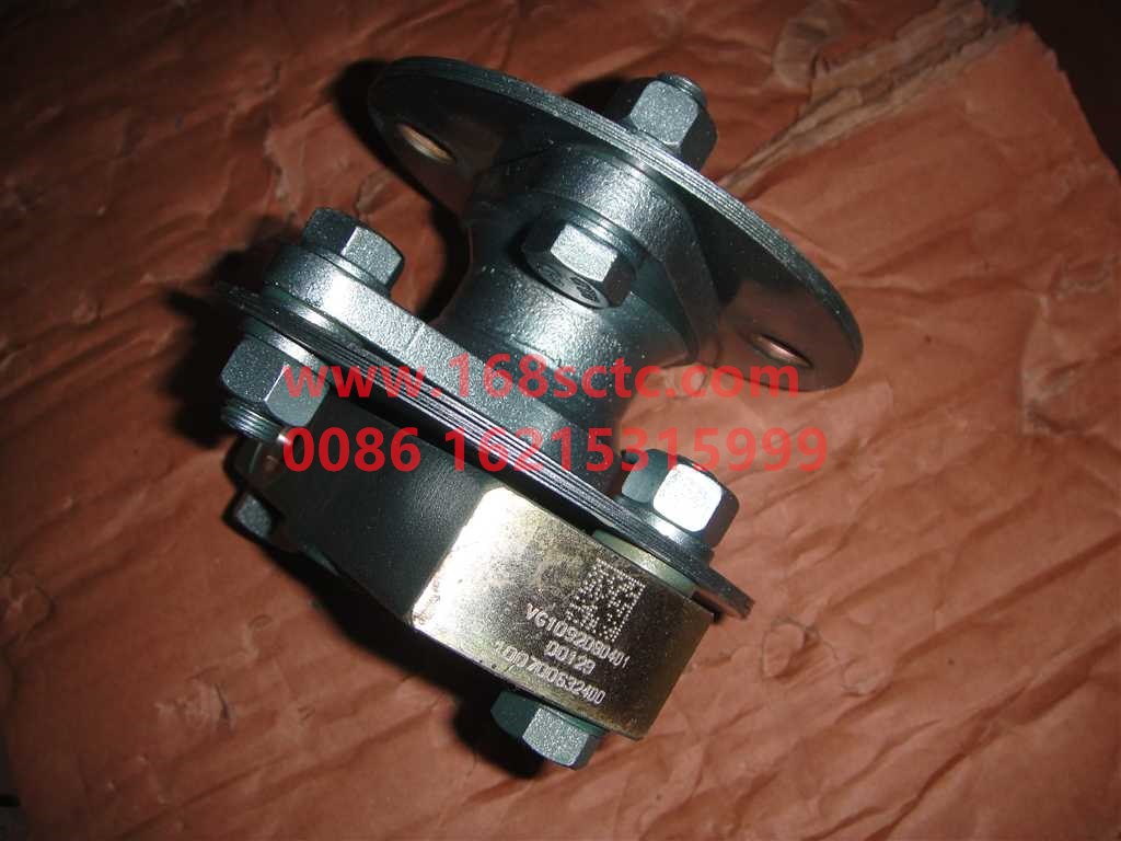 VG1092080401-2-SINOTRUK HOWO-Elastic link assemblySmall-ZhongQiFaDongJiWD615.67