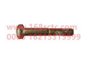 ZQ150B1060-OTHERS-Outer hex bolt M10x60-LiuJiaoTouLuoShuan
