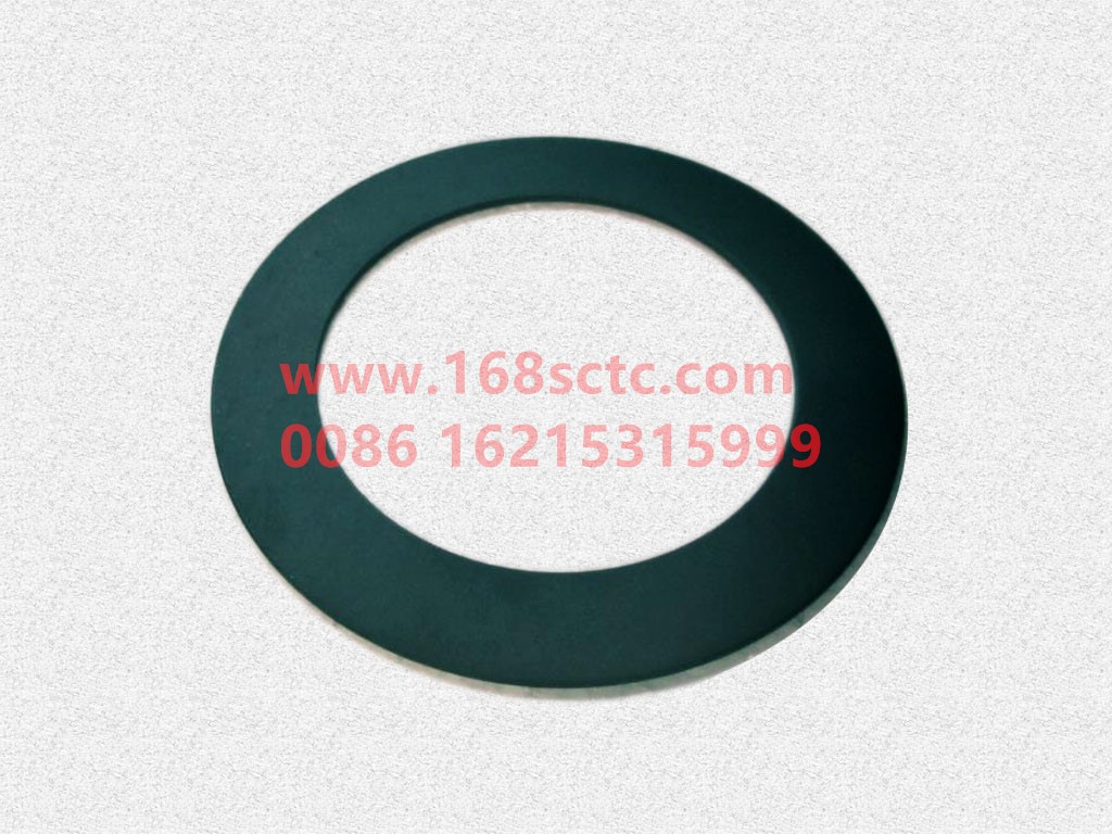 HD95129320069-2.0-DAYUN-side gear spacer-DaYun