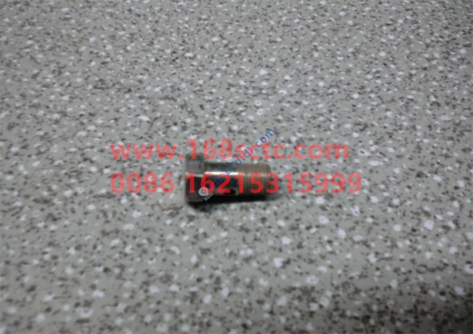 Hollow bolt A6D076236SZN