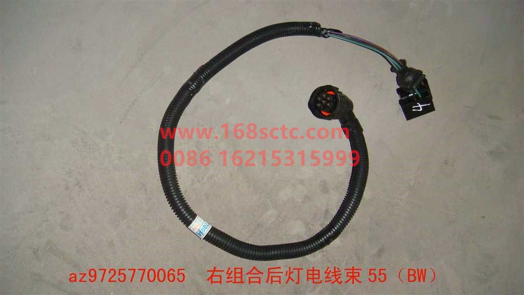 AZ9725770065-SINOTRUK HOWO-Cab wiring harness (combined rear light wiring harness/right/50BW)-HaoWo2012Kuan
