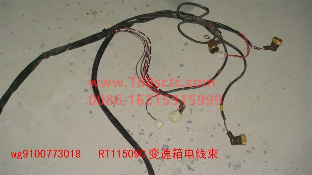 WG9100773018