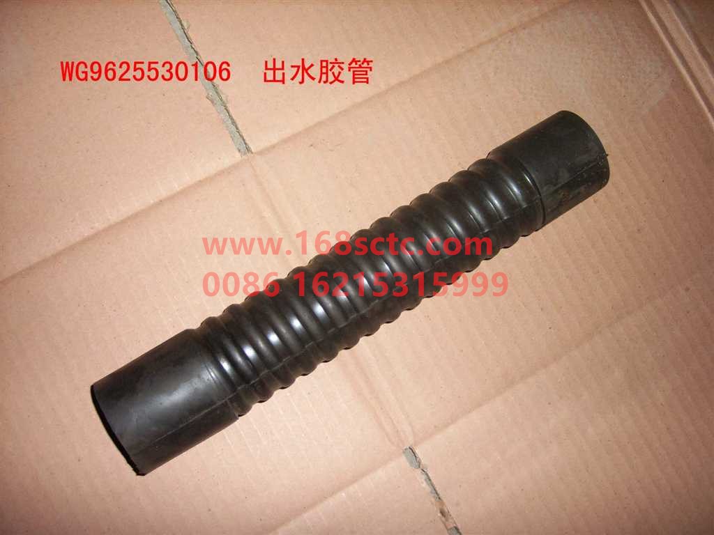 WG9625530106