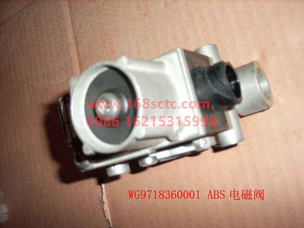 WG9718360001
