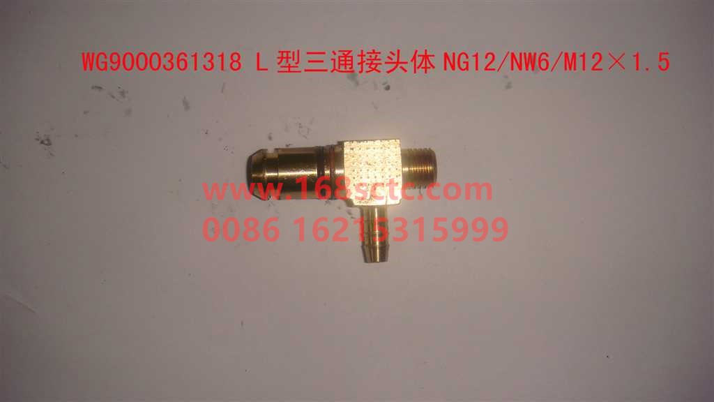WG9000361318