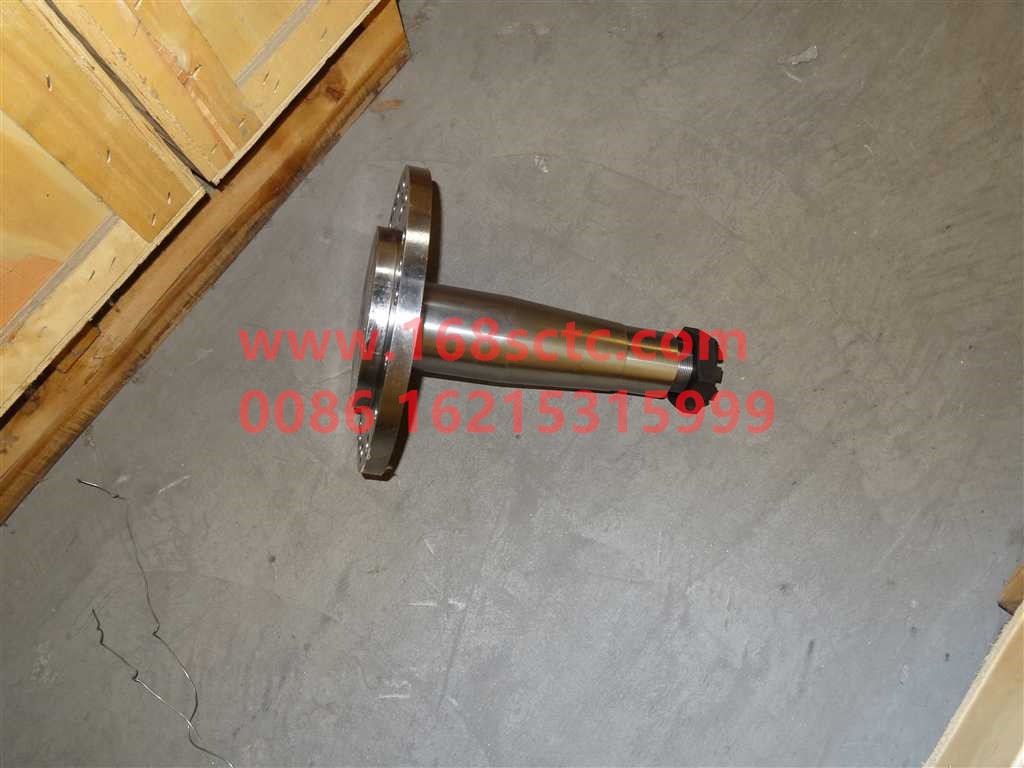 WG9950410011