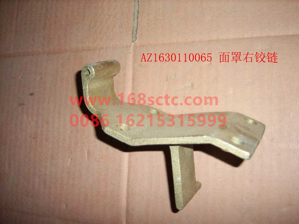 AZ1630110065-SINOTRUK HOWO-Mask left hinge-JinWangZi2013Kuan