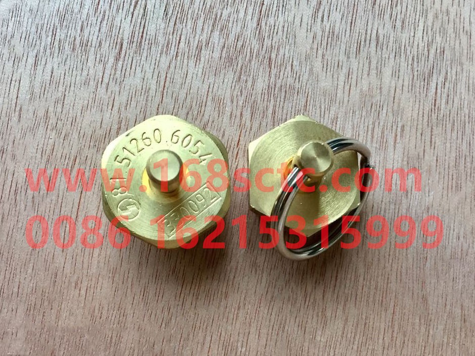 81.51260.6054-SHACMAN-drain valve-DeLongF3000 2014Kuan