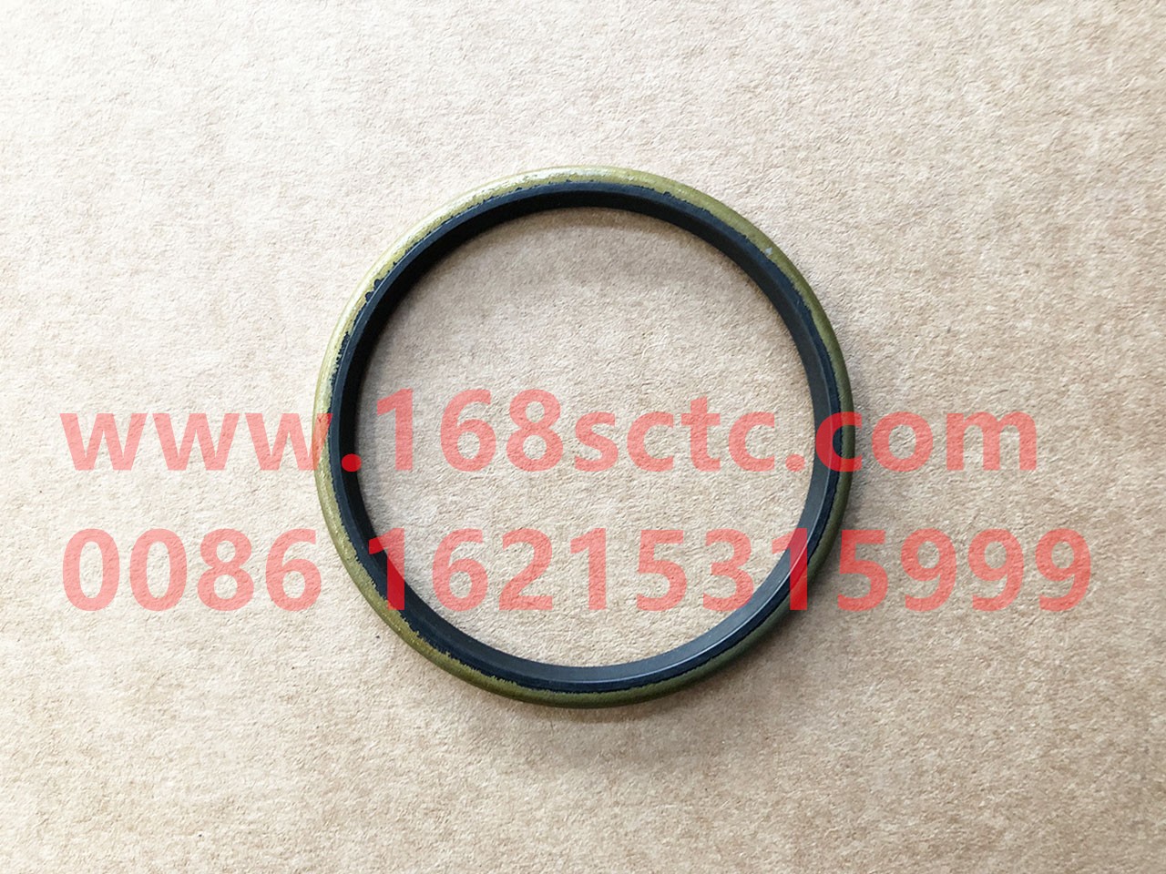 Shaft seal ring