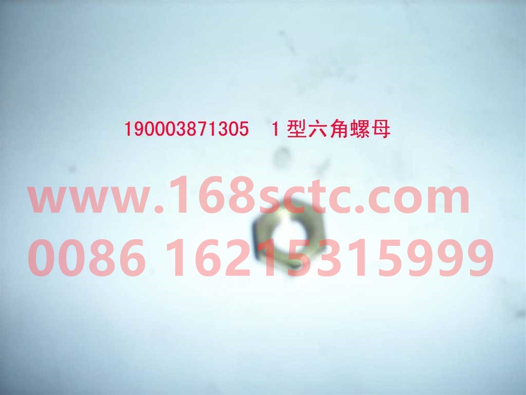 190003871308