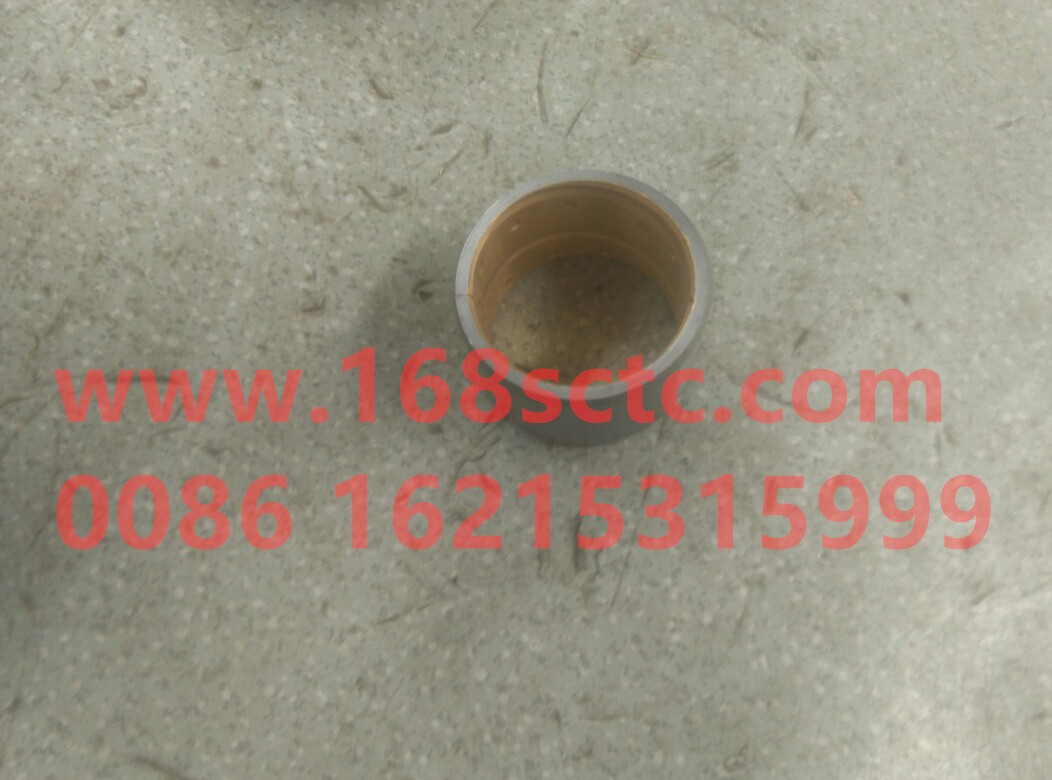 Brake shoe support pin