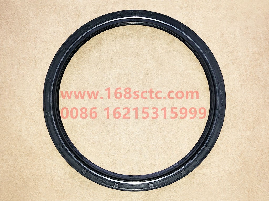 DZ91259520506-SINOTRUK HOWO-Balance shaft oil seal 160x185x10.5-HaoWo2007Kuan