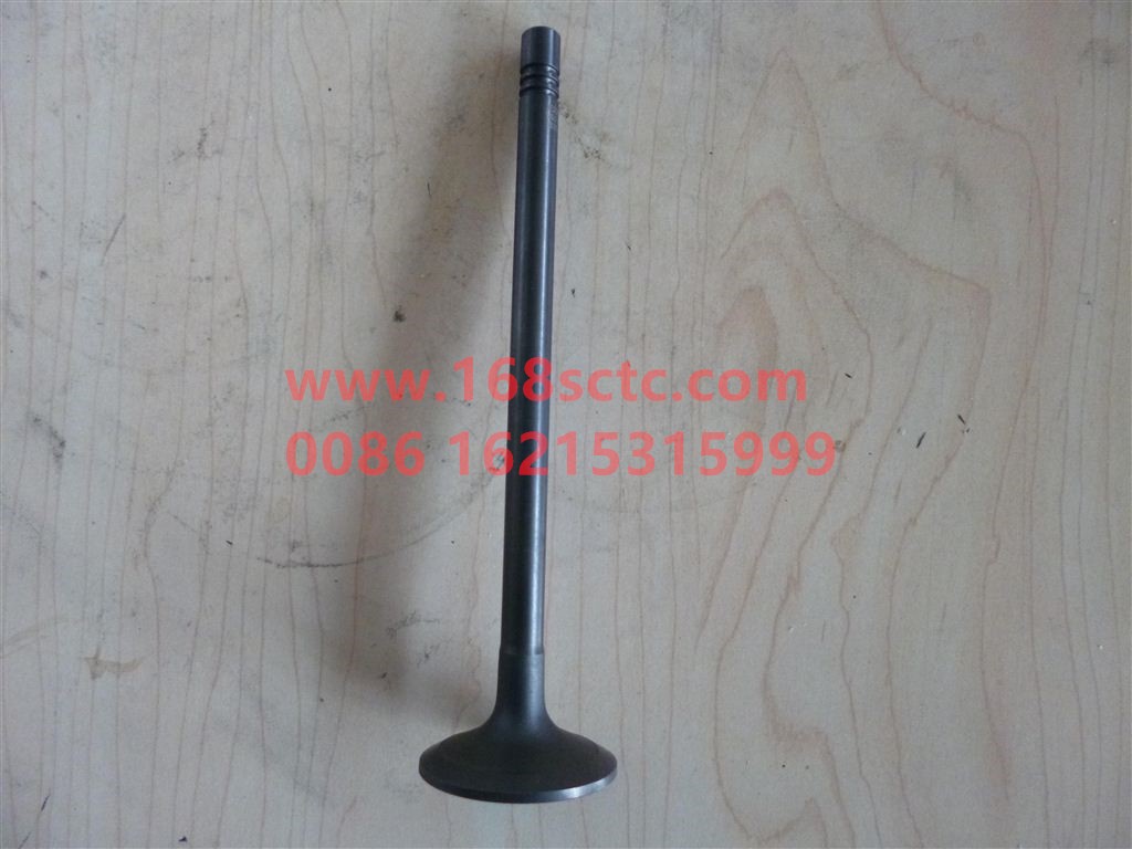 VG1092050014-SINOTRUK HOWO-exhaust valve T10-ZhongQiFaDongJiWT615.95