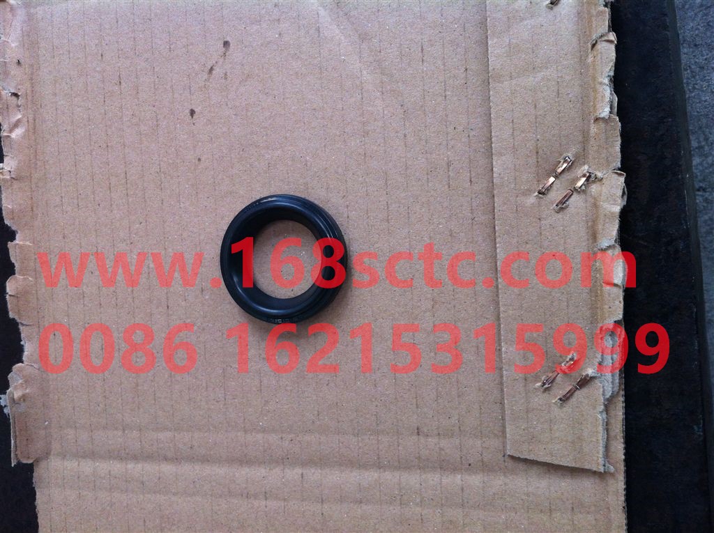 082V03905-0173-SINOTRUK HOWO-Ignition coil bushing oil seal-ZhongQiFaDongJiMT13.44-50