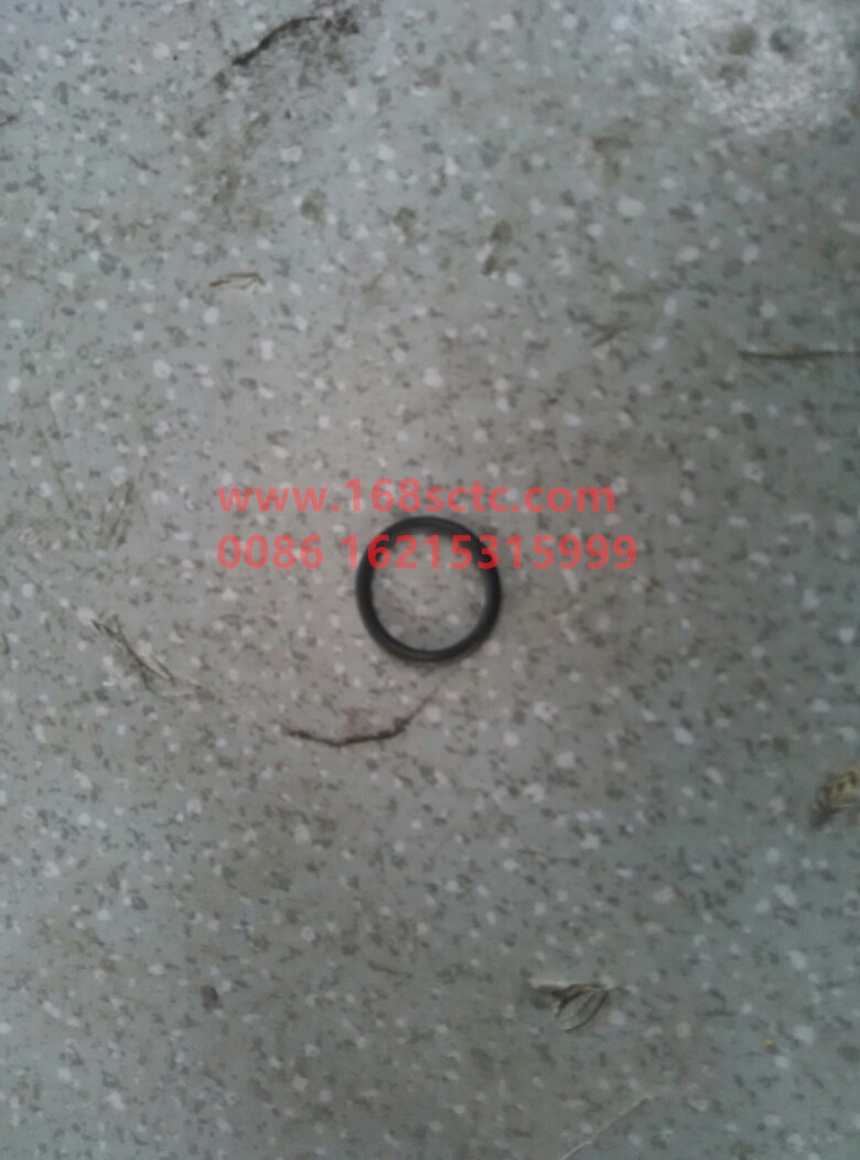 O-ring