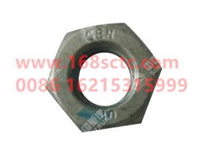 ZQ340B10T13F6-OTHERS-Hex Nut Type 1 M10-LiuJiaoTouLuoMu
