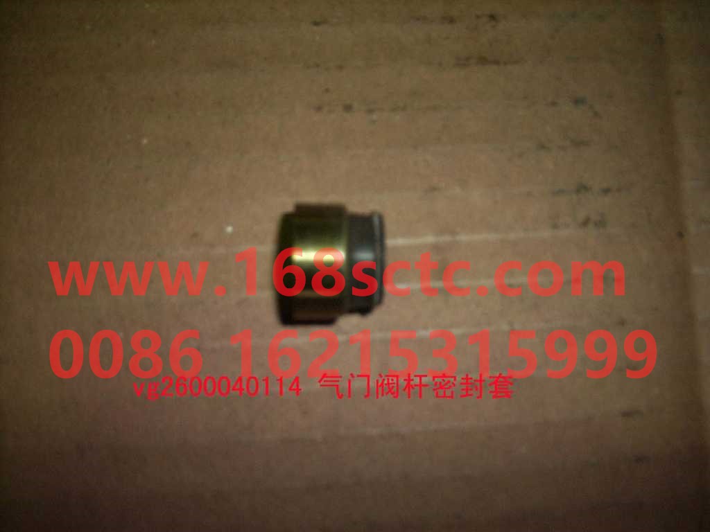 VG2600040114-SINOTRUK HOWO-Oil seal (valve oil seal)-ZhongQiFaDongJiWD615.67