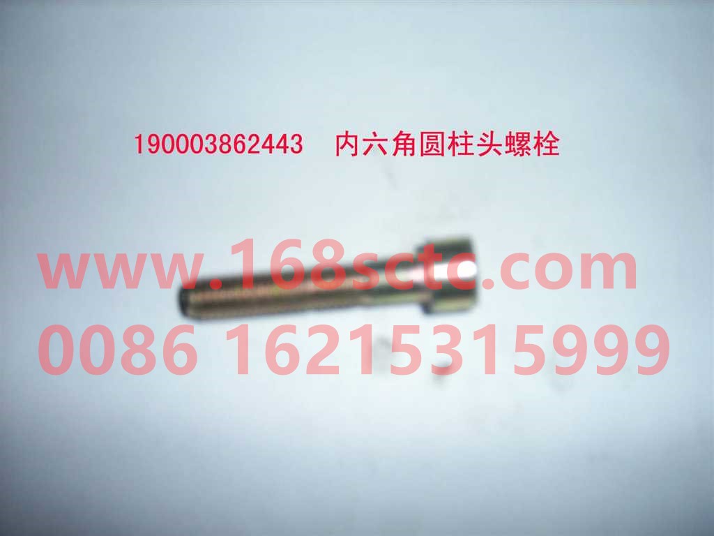 190003862462