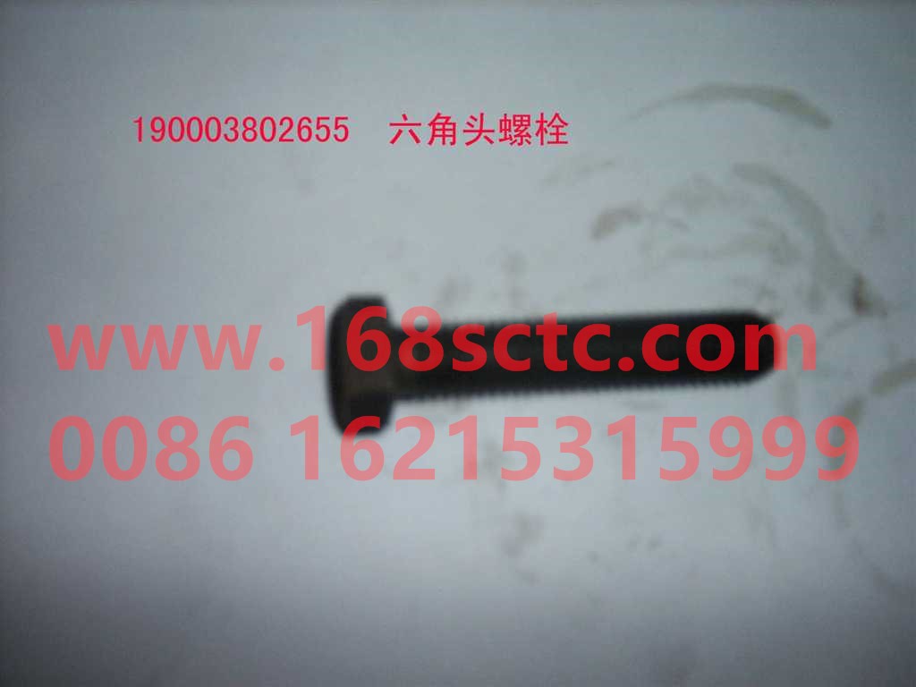 190003810020