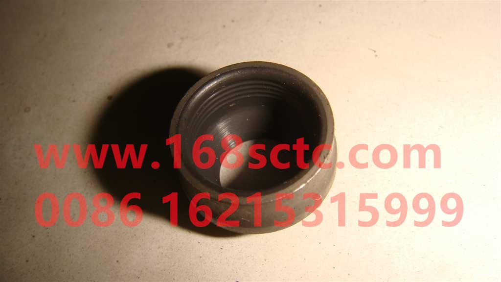 VG1540040026-SINOTRUK HOWO-Oil seal (valve oil seal)-ZhongQiFaDongJiWT615.95