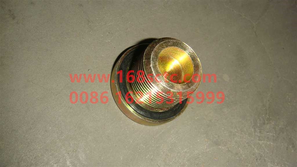 WG9981340006-SINOTRUK HOWO-Hexagon socket bolt M24x1.5-ZhongQiZhongQiaoAC26