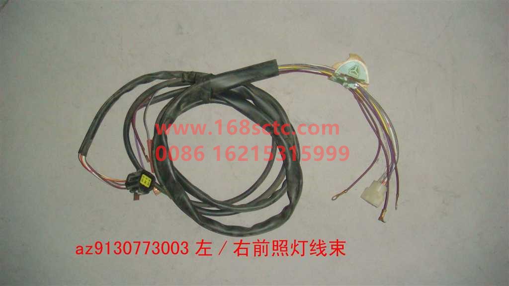 AZ9130773003-SINOTRUK HOWO-Cab wiring harness (left/right headlamp wiring harness)-JinWangZi2008Kuan