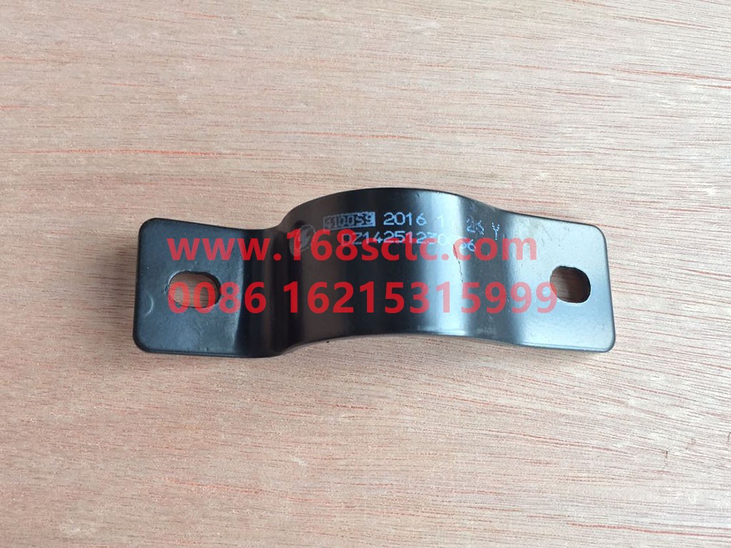 DZ14251230056-SHACMAN-Clips-DeLongX3000 2013Kuan