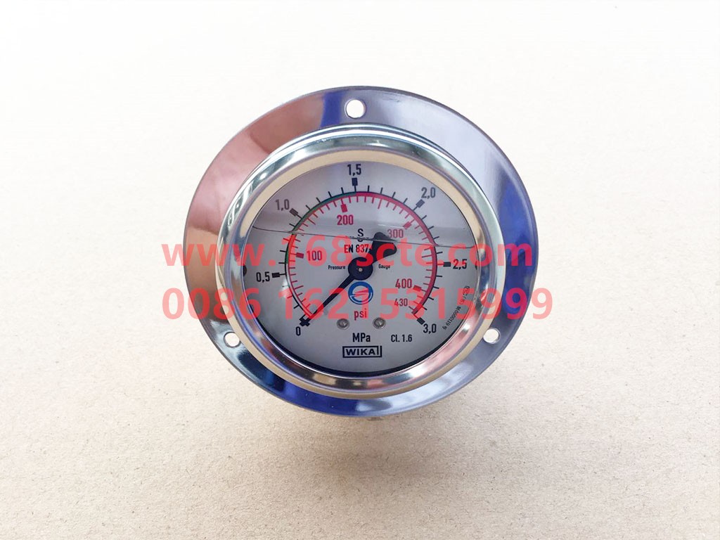 DZ91189565012-SHACMAN-axial pressure gauge-AoLong2011Kuan
