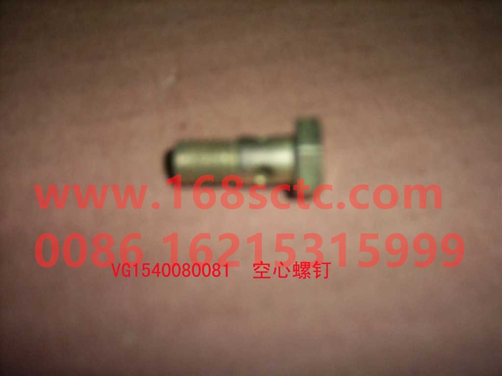VG1540080081-SINOTRUK HOWO-hollow bolt M8x19-ZhongQiFaDongJiWT615.93