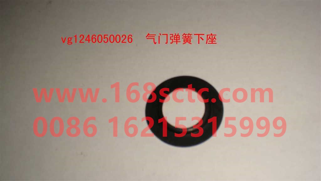 VG1246050026-SINOTRUK HOWO-Valve spring lower seat-ZhongQiFaDongJiD1242C01-1