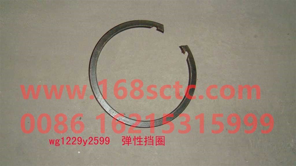 WG1229Y2599