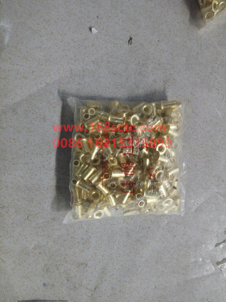 WG9000340068-SINOTRUK HOWO-Brake rivets 10x22Copper 1.2thicken-ZhongQiAC16KuangYongCheQiao