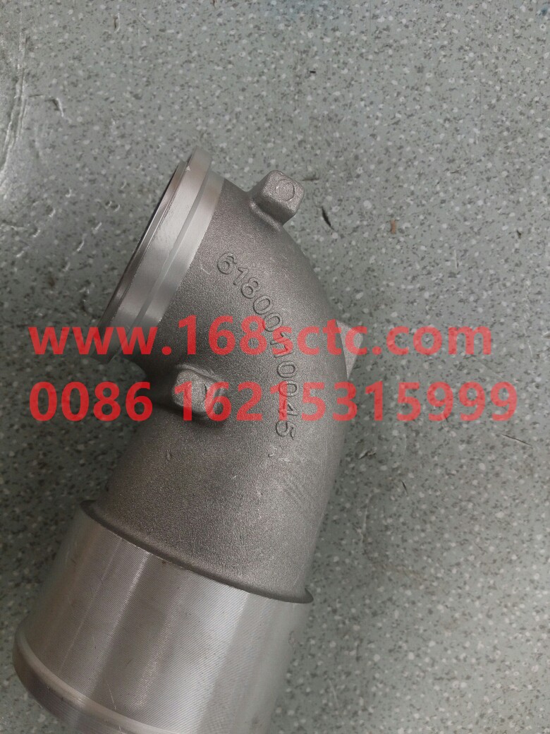 61800110045